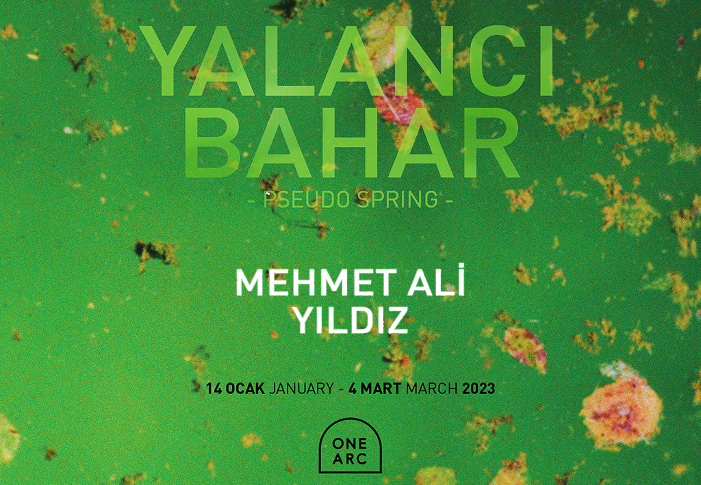 YALANCI BAHAR  YALANCI BAHAR 