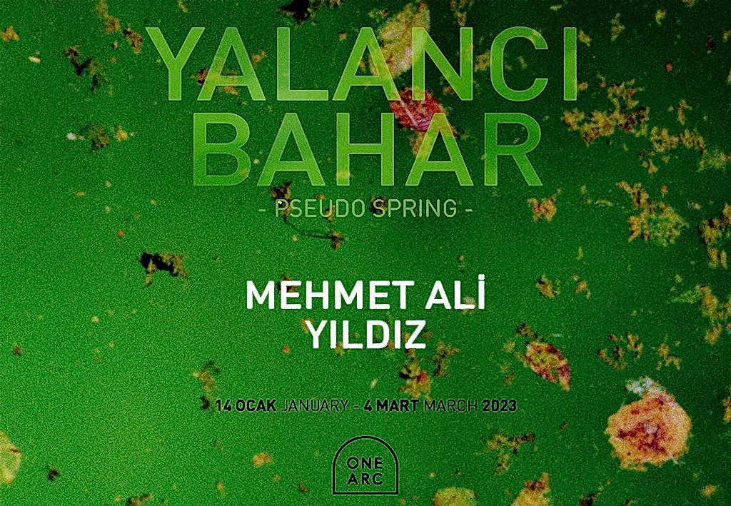 YALANCI BAHAR  YALANCI BAHAR 